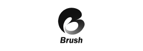 Brush